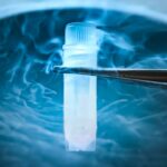 cryopreserved PBMC