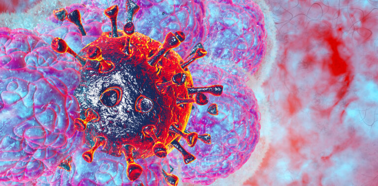 Natural Killer (NK) cells for cancer immunotherapy