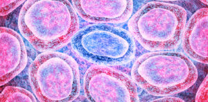 AllCells Good Manufacturing Practices Facilitates Good Products