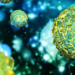 AllCells clinical grade bone marrow stem cells