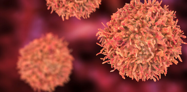 B-cell, an antibody-producing cell of the immune system