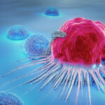 AllCells GMP compliant Leukopak cells
