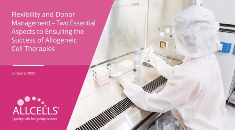 Two Essential Aspects to Ensuring the Success of Allogeneic Therapies
