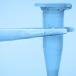 AllCells cryopreserved cells in vial