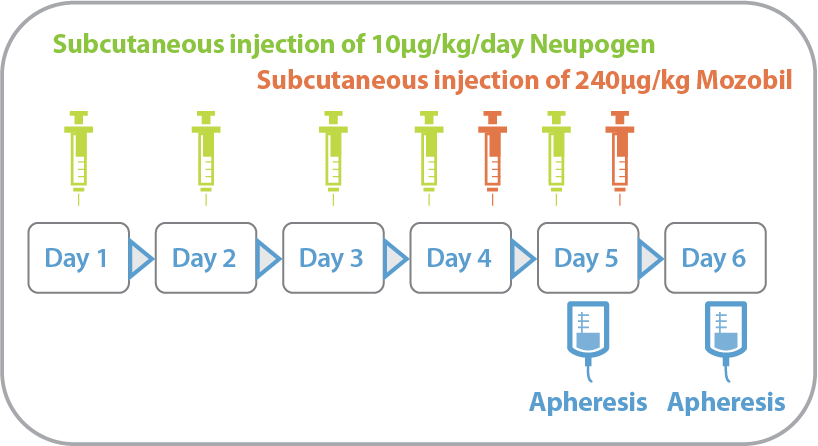 Subcutaneous injection of 10ug/kg/day G-CSF, Subcutaneous injection of 240ug/kg MozA