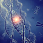 Dna Double Helix